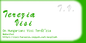 terezia visi business card